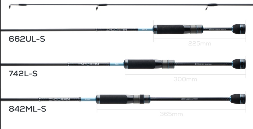 gc endorfin '26 spinning eds 902ml t 2.74 m, 2–18 q gc endorfin '26 spinning eds 902ml t 2.74 m, 2–18 q